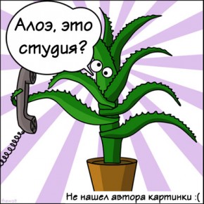 Студия Сорокина. Приглашаем на работу 290x290 Вакансии HR Студии